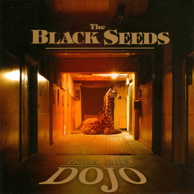 Into the Dojo album cover