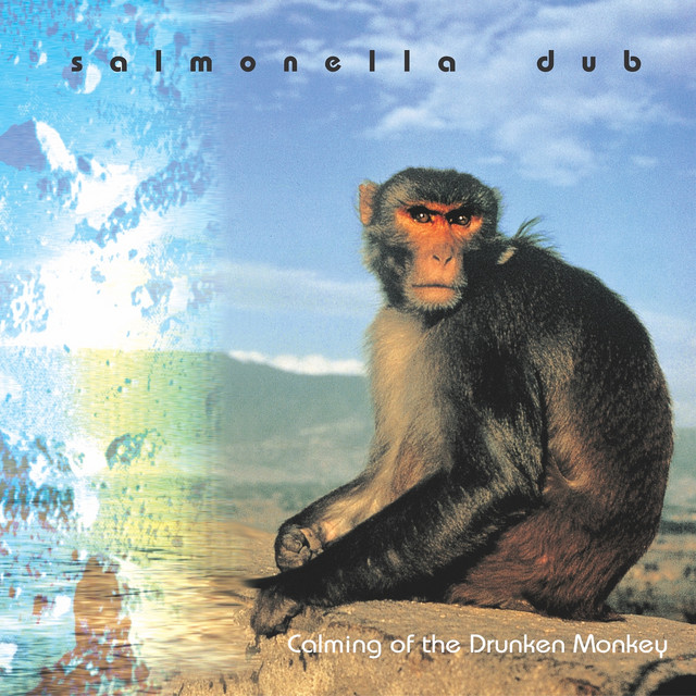 Calming of the Drunken Monkey (2025 Remastered Version) album cover