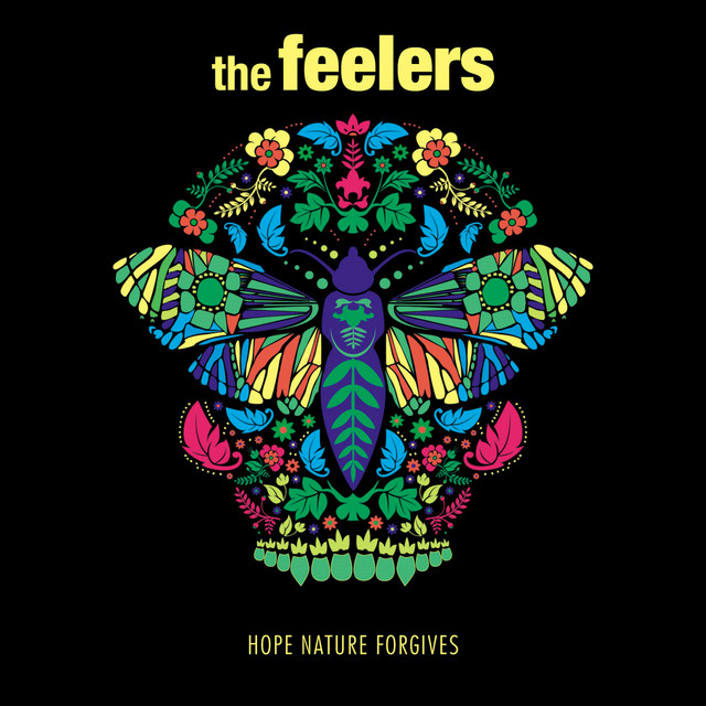 Hope Nature Forgives album cover