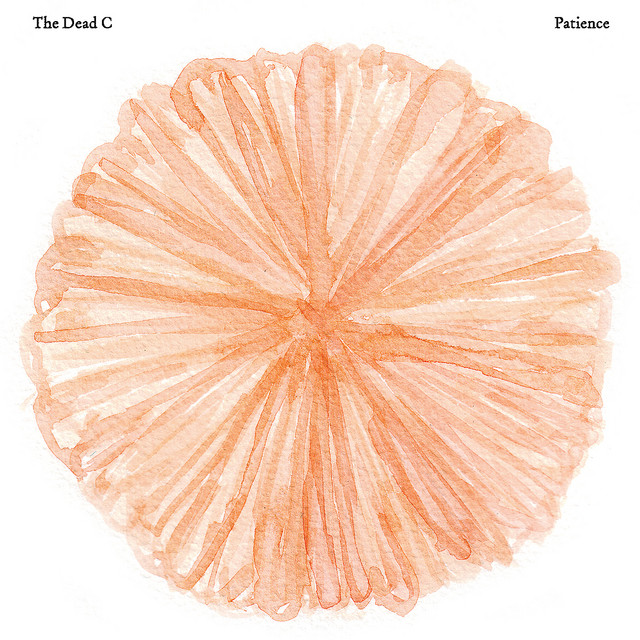 Patience album cover