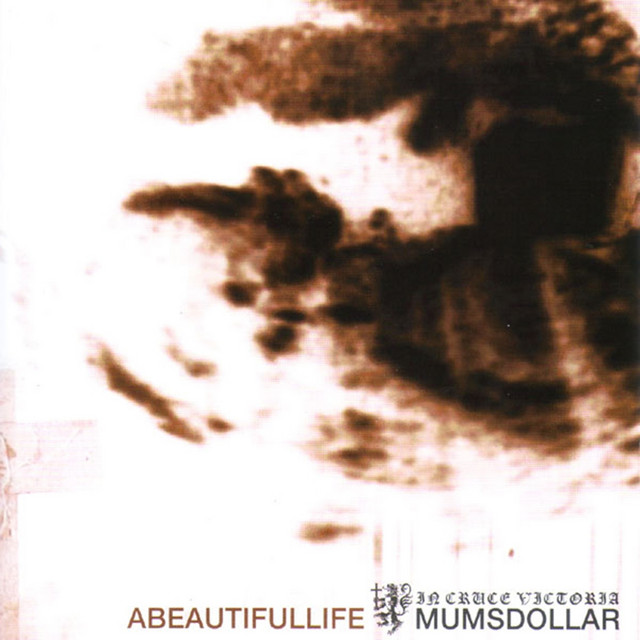 A Beautiful Life album cover