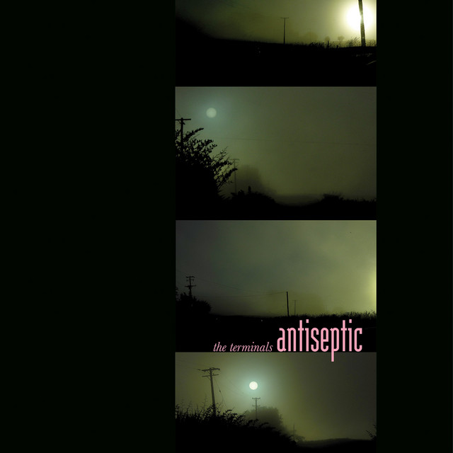 Antiseptic album cover