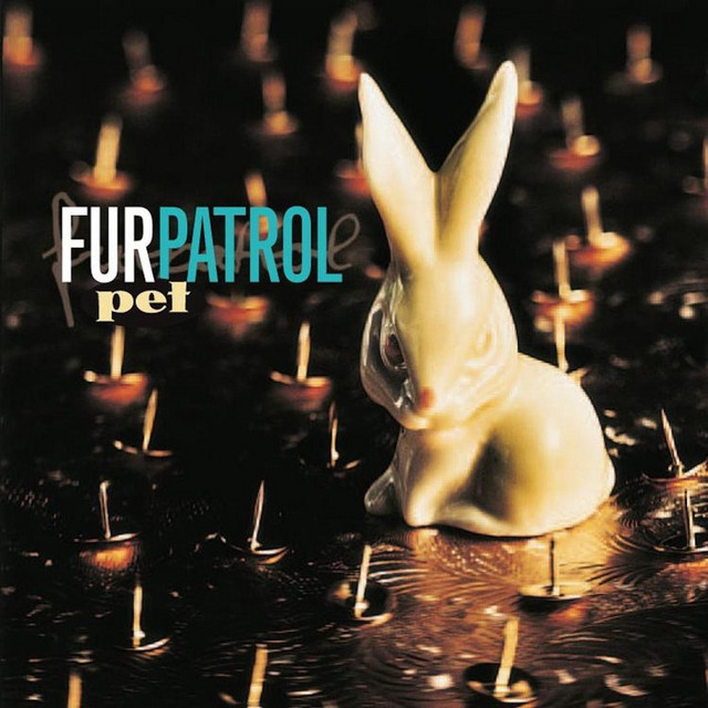 Pet album cover