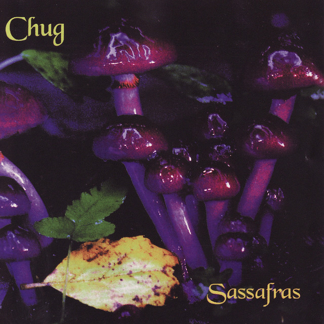 Sassafras album cover