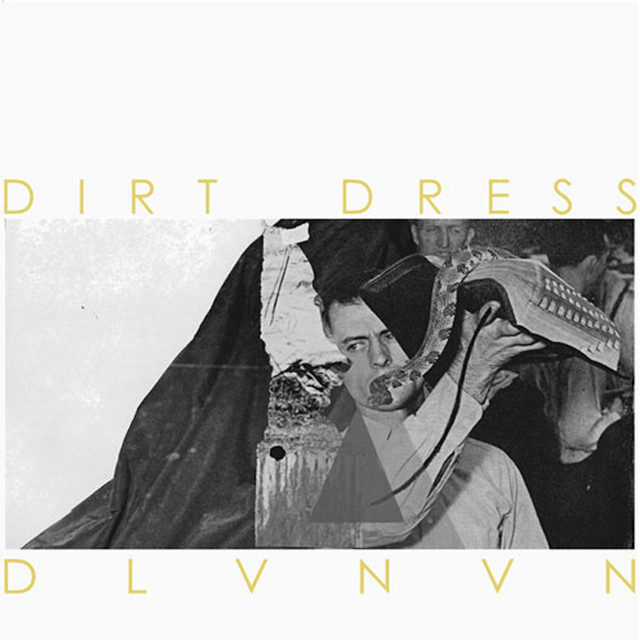 DLVNVN album cover