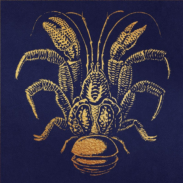 The Terrifying Dream album cover