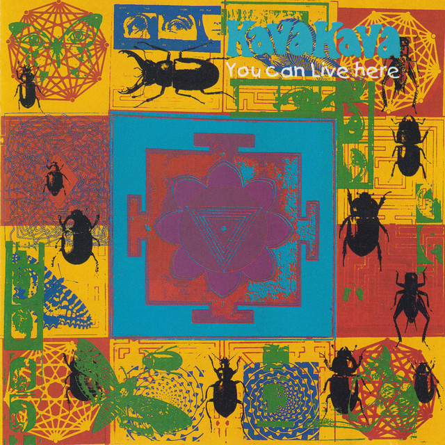 You Can Live Here album cover