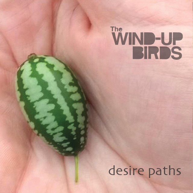 Desire Paths album cover