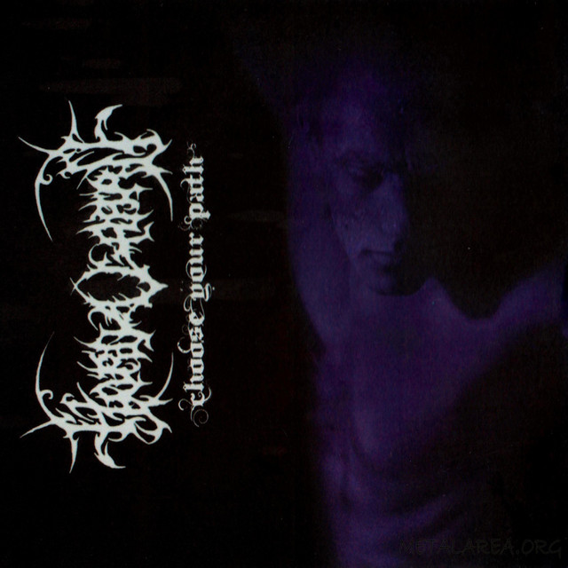Choose your path album cover