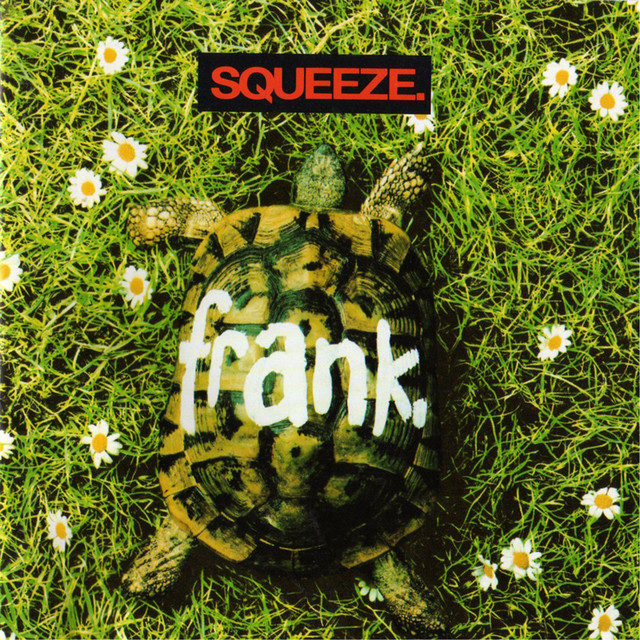 Frank album cover