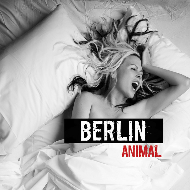 Animal album cover