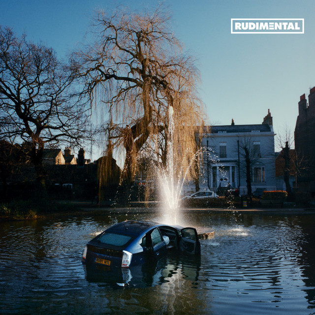 RUDIM3NTAL album cover