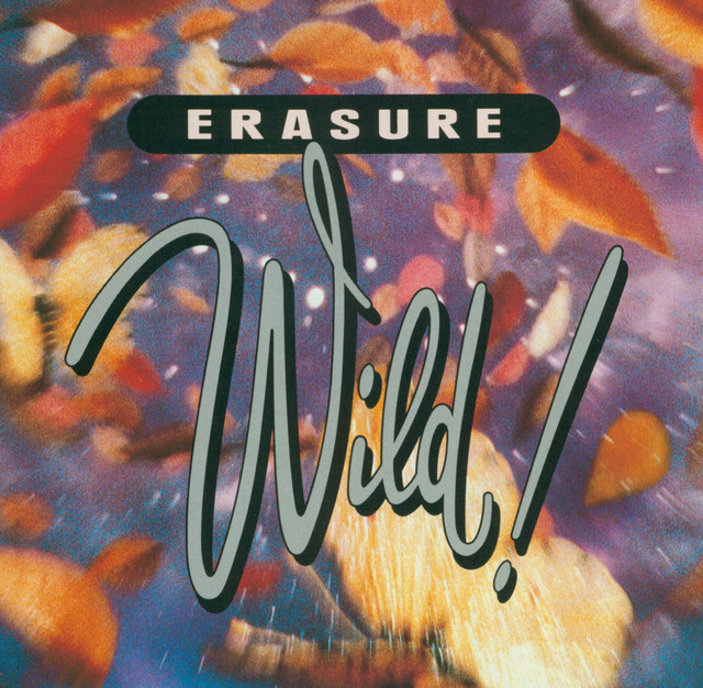 Wild! album cover