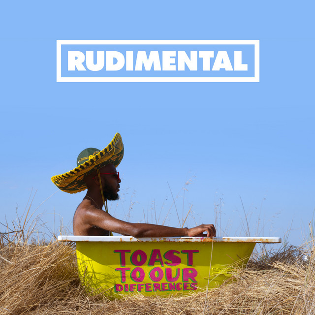 Toast to Our Differences (Deluxe Edition) album cover