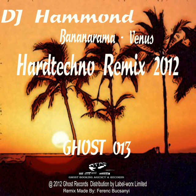 Gibson J-200 as heard on Venus (DJ Hammond Hardtechno Remix 2012) by Bananarama (2012)
