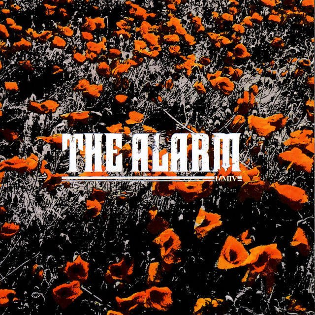 In The Poppy Fields album cover