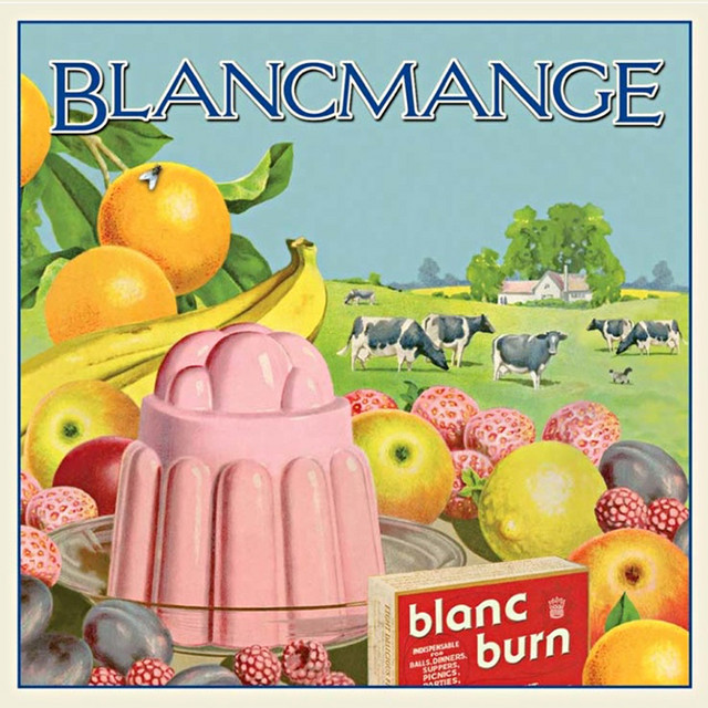 Smartelectronix LiveCut as heard on Blanc Burn by Blancmange (2011)