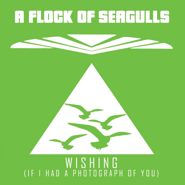 Electro-Harmonix The Clone Theory as heard on Wishing (If I Had A Photograph Of You) by A Flock of Seagulls (2019)