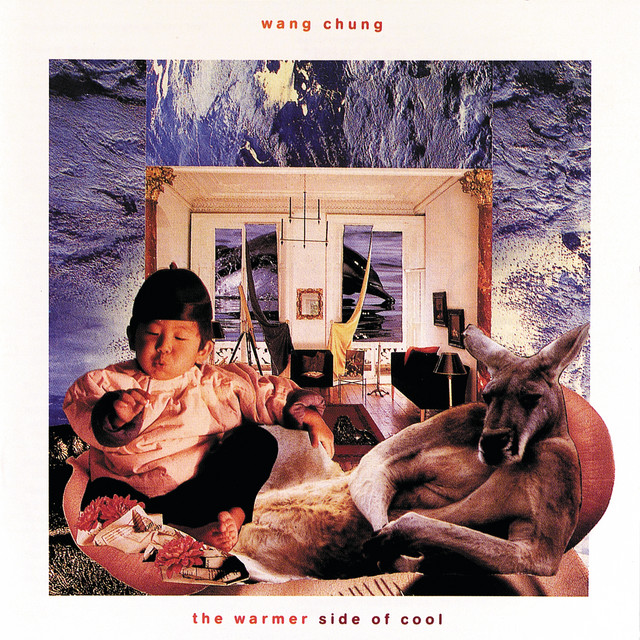 The Warmer Side Of Cool album cover