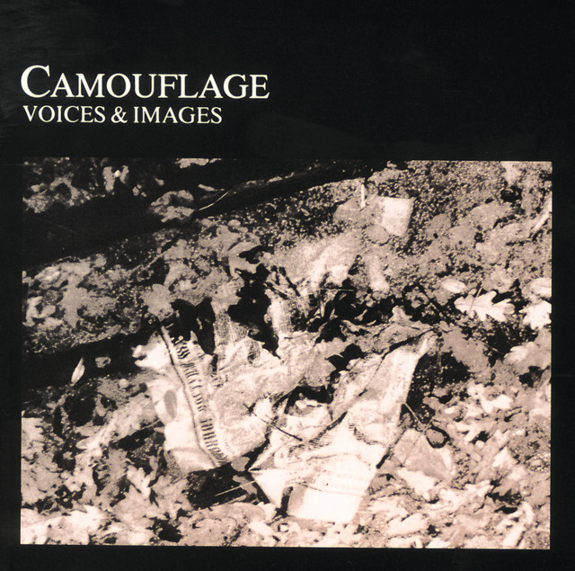 Voices & Images album cover