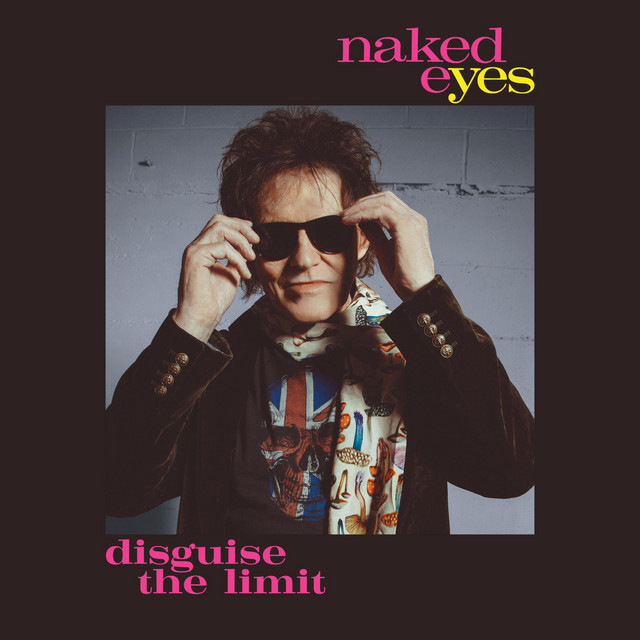 Disguise The Limit album cover