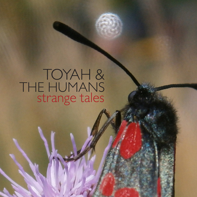 Strange Tales album cover