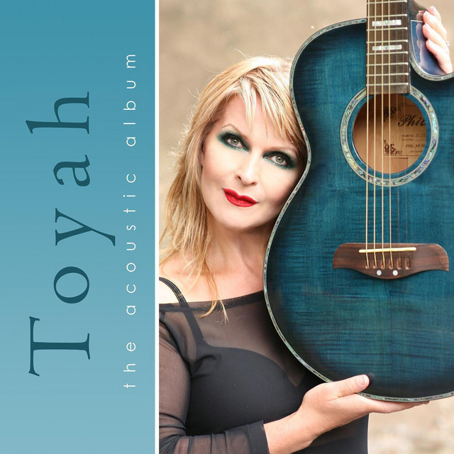 The Acoustic Album album cover