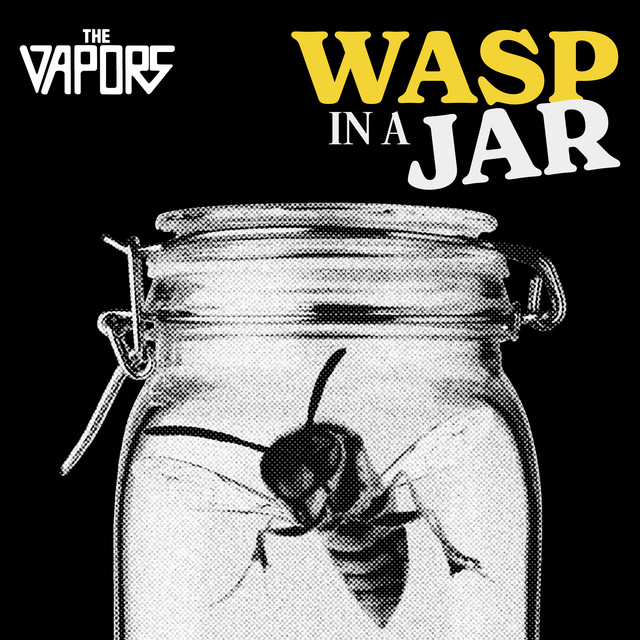 Wasp in a Jar album cover
