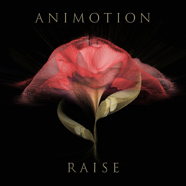 Raise Your Expectations album cover