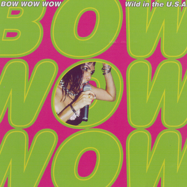 Wild In The U.S.A. album cover