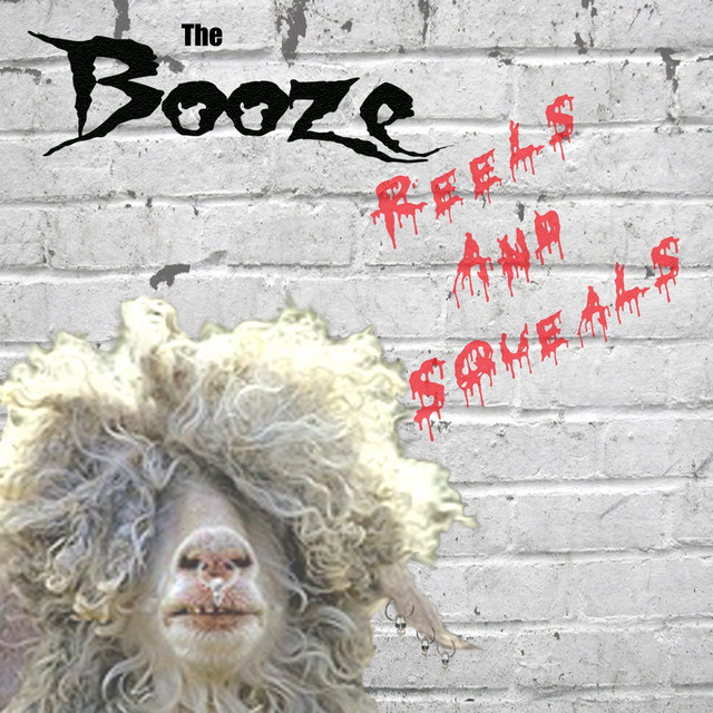 Reels and Squeals album cover