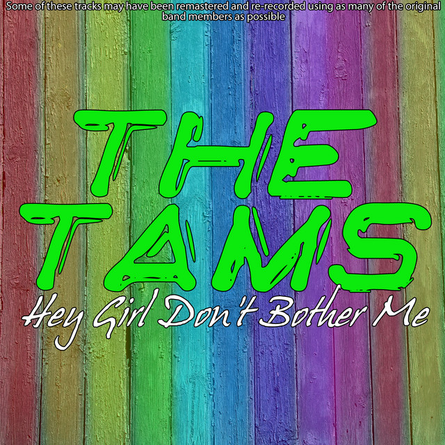 Hey Girl Don't Bother Me album cover