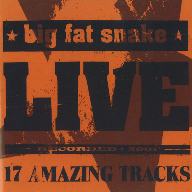 Live (17 Amazing Tracks) album cover