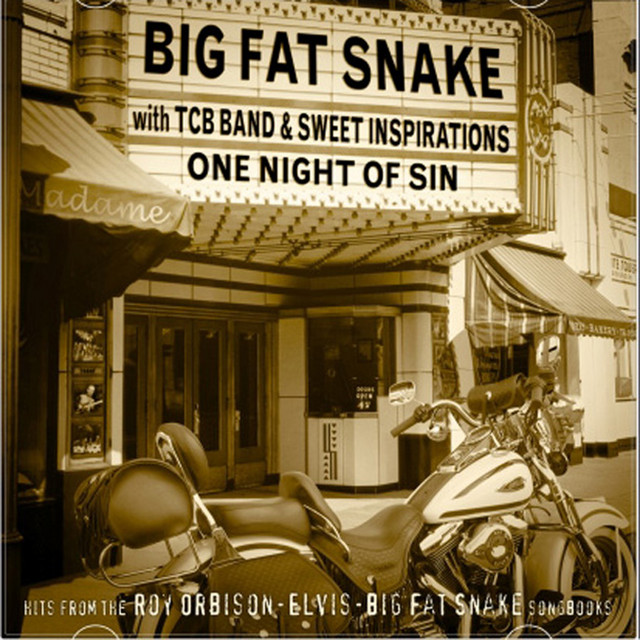 One Night Of Sin album cover