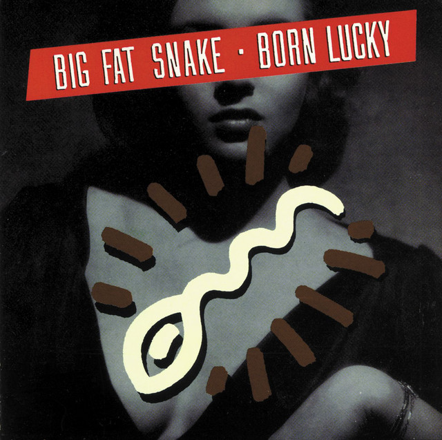 Born Lucky album cover