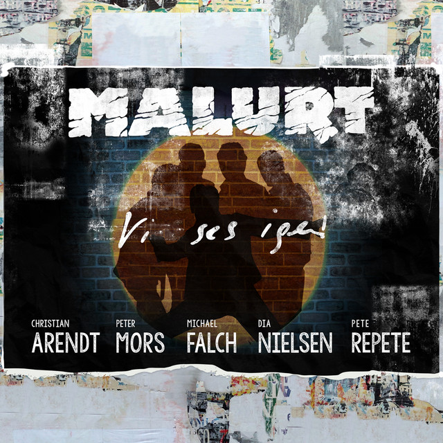 Vi Ses Igen album cover