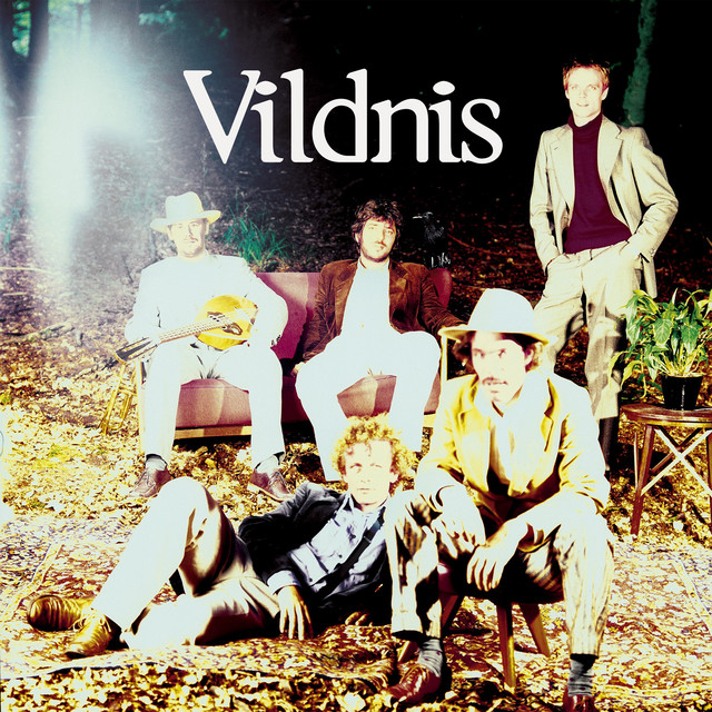 Vildnis album cover