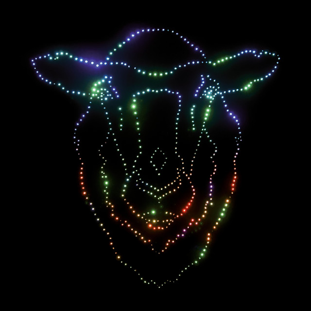 Pisara ja lammas 1 album cover