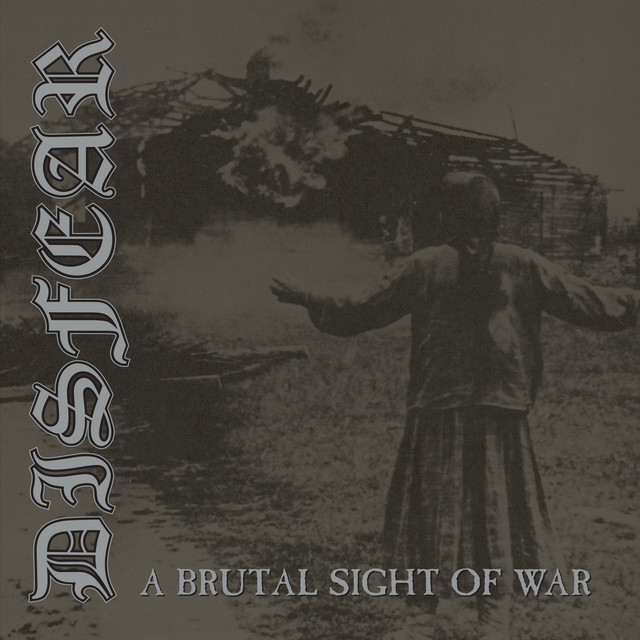 A Brutal Sight of War album cover