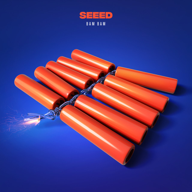 BAM BAM album cover