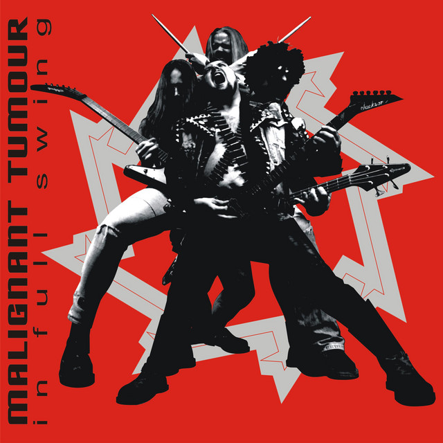 IN FULL SWING album cover