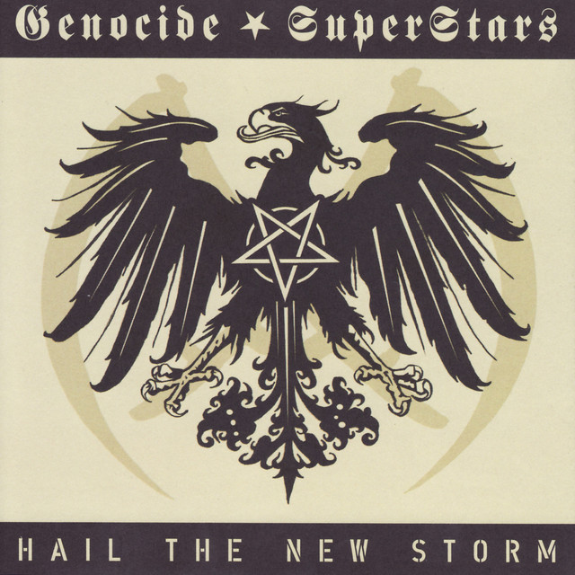 Hail the New Storm album cover