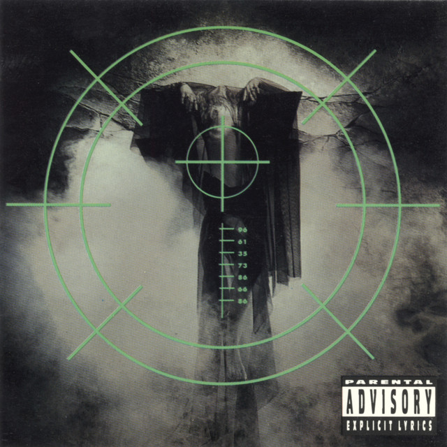 Within The Veil album cover