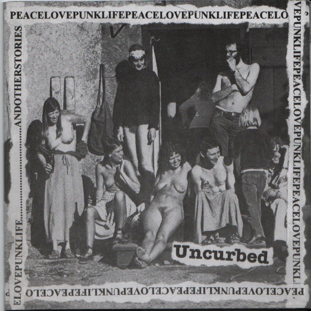 Peacelovepunklife....And Other Stories album cover