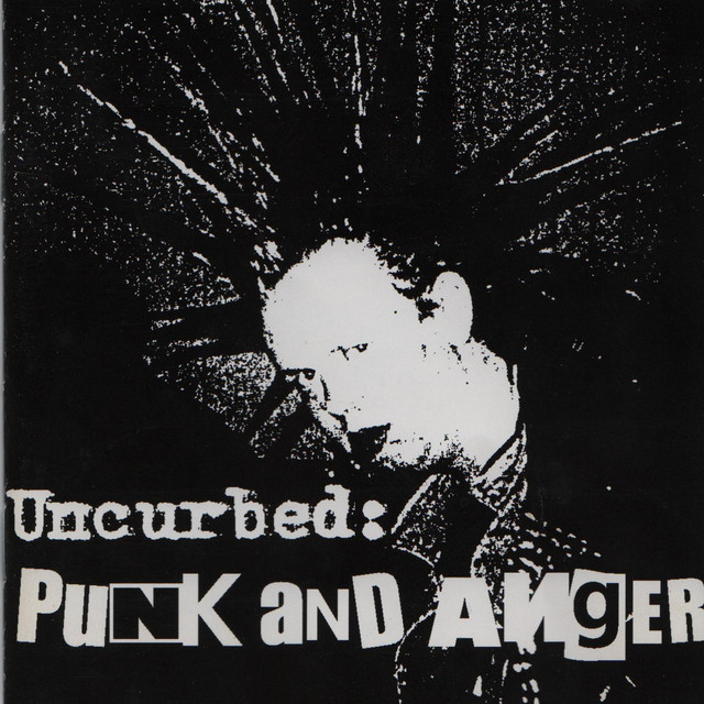 Punk and Anger album cover