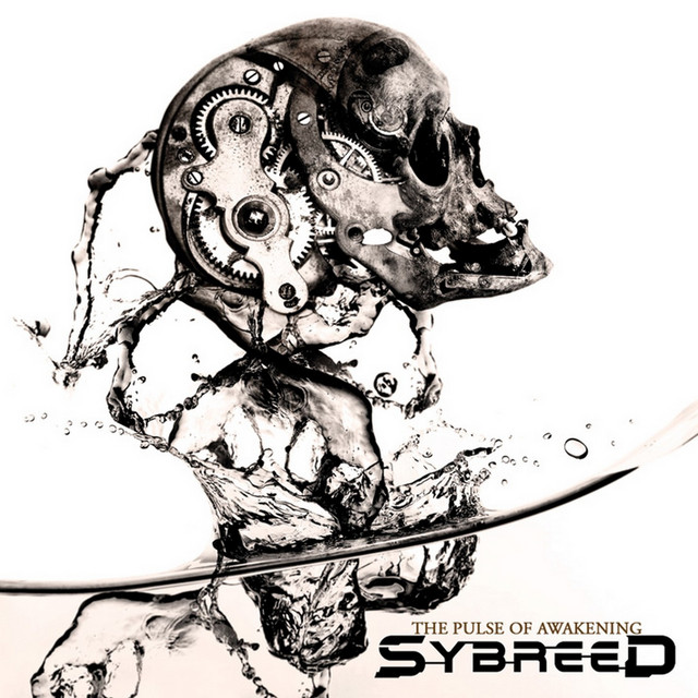Line 6 POD Pro as heard on The Pulse of Awakening by Sybreed (2010)