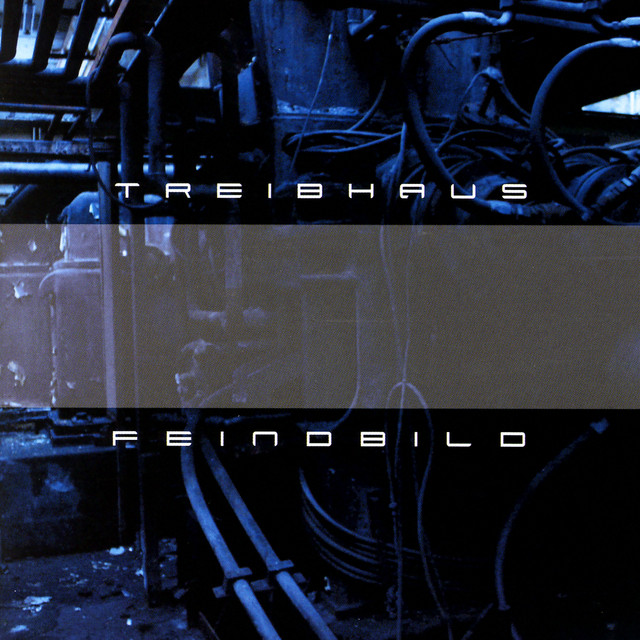 Feinbild album cover