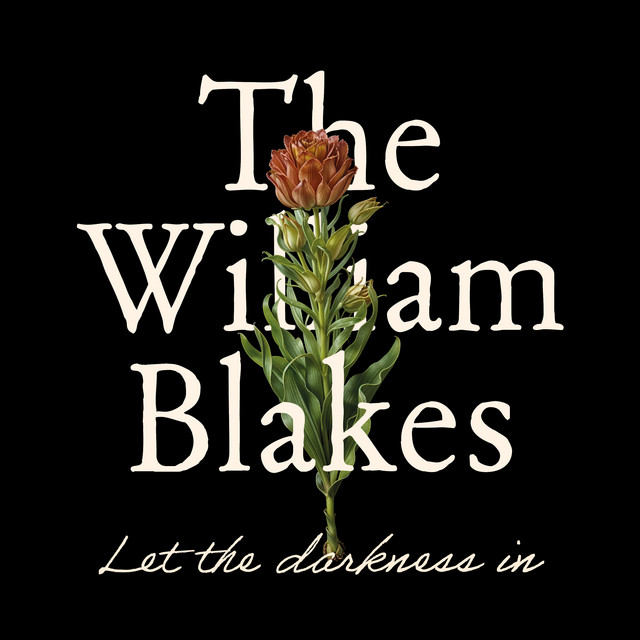Let the darkness in album cover