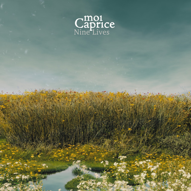Nine Lives album cover