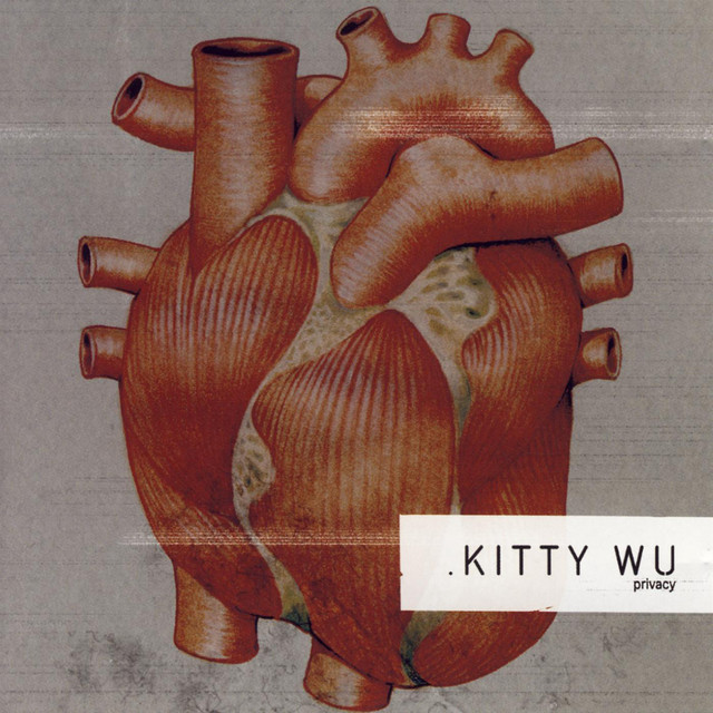 Privacy album cover